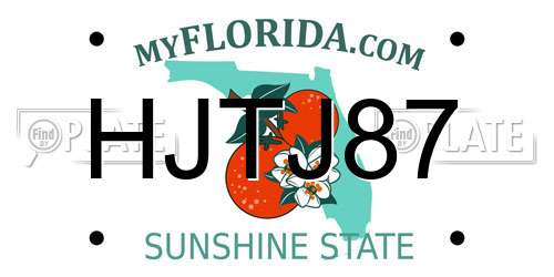 HJTJ87 Florida License Plate