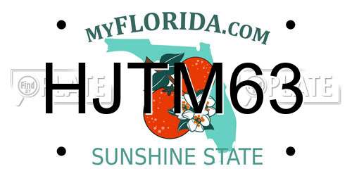HJTM63 Florida License Plate