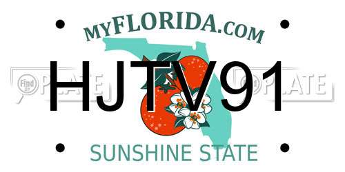 HJTV91 Florida License Plate