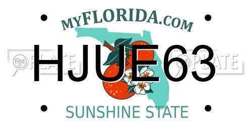 HJUE63 Florida License Plate