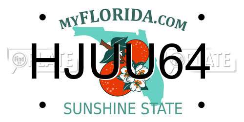 HJUU64 Florida License Plate
