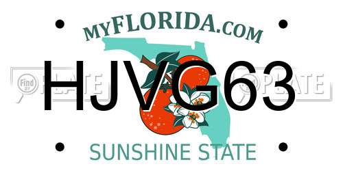 HJVG63 Florida License Plate