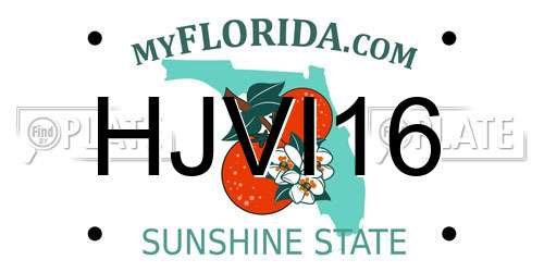 HJVI16 Florida License Plate