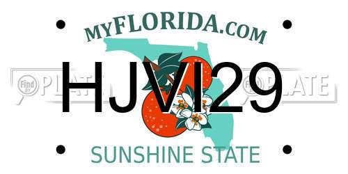 HJVI29 Florida License Plate
