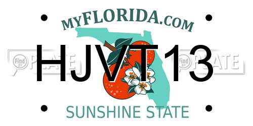 HJVT13 Florida License Plate