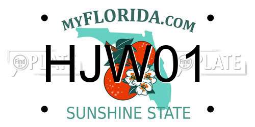 HJW01 Florida License Plate