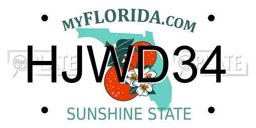 HJWD34 Florida License Plate