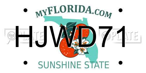 HJWD71 Florida License Plate