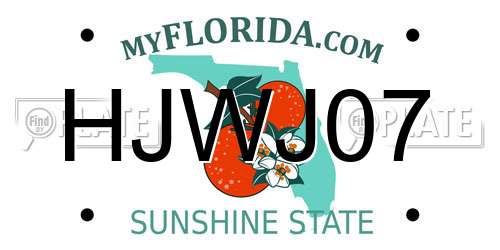HJWJ07 Florida License Plate