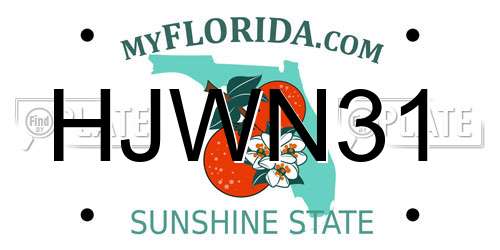 HJWN31 Florida License Plate