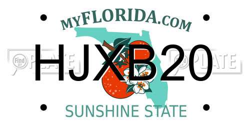HJXB20 Florida License Plate