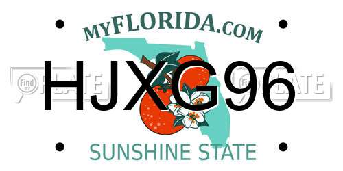 HJXG96 Florida License Plate