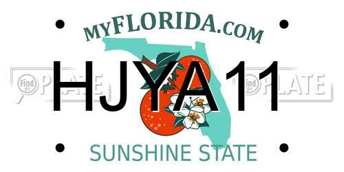 HJYA11 Florida License Plate