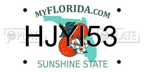 HJYI53 Florida License Plate