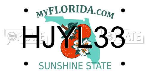 HJYL33 Florida License Plate