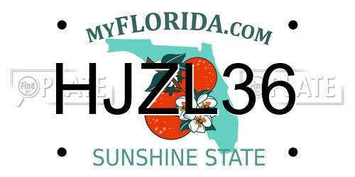 HJZL36 Florida License Plate