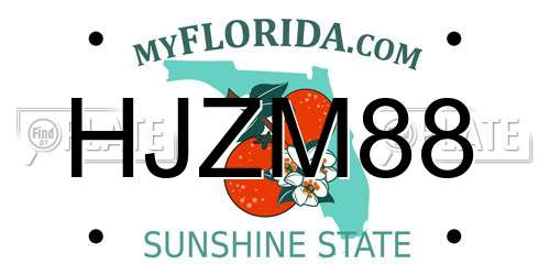 HJZM88 Florida License Plate
