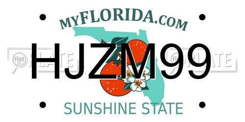 HJZM99 Florida License Plate