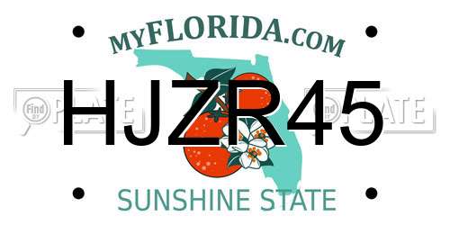 HJZR45 Florida License Plate