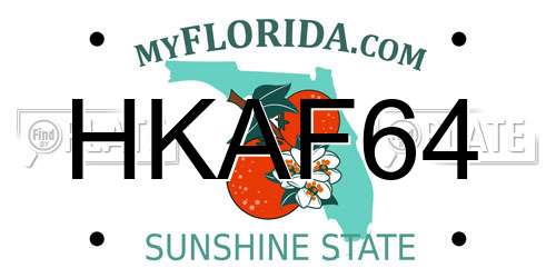 HKAF64 Florida License Plate