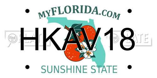 HKAV18 Florida License Plate
