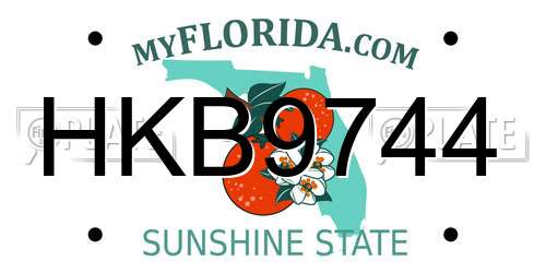 HKB9744 Florida License Plate
