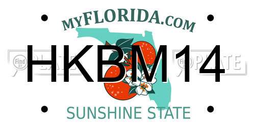 HKBM14 Florida License Plate