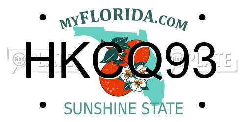 HKCQ93 Florida License Plate