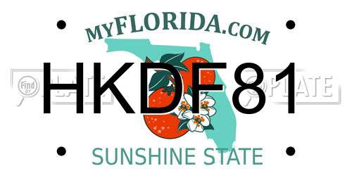 HKDF81 Florida License Plate