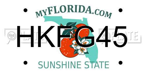 HKFG45 Florida License Plate