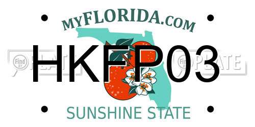 HKFP03 Florida License Plate