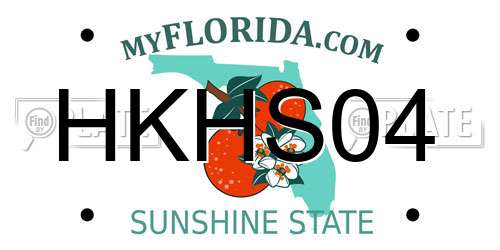 HKHS04 Florida License Plate