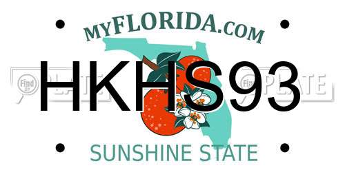 HKHS93 Florida License Plate