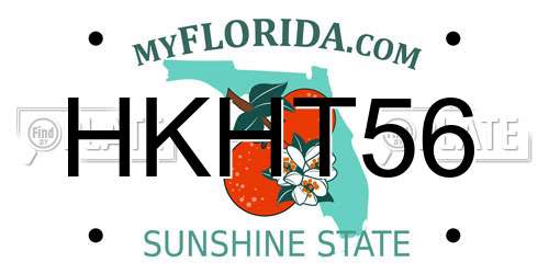 HKHT56 Florida License Plate
