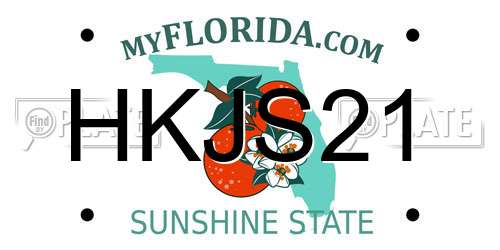 HKJS21 Florida License Plate