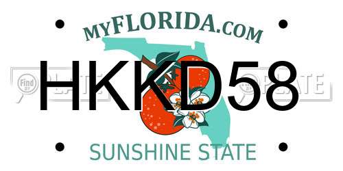HKKD58 Florida License Plate