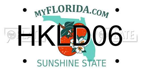 HKLD06 Florida License Plate