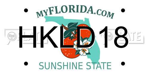 HKLD18 Florida License Plate