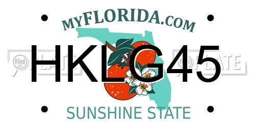 HKLG45 Florida License Plate