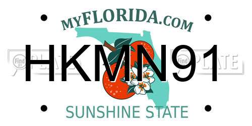 HKMN91 Florida License Plate