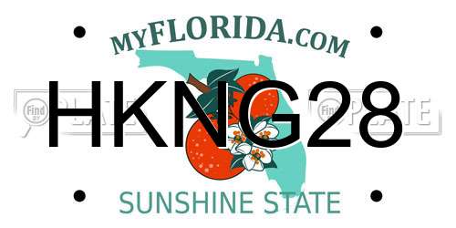 HKNG28 Florida License Plate