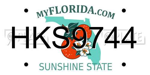 HKS9744 Florida License Plate