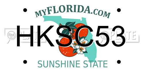 HKSC53 Florida License Plate