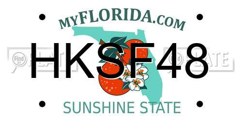 HKSF48 Florida License Plate