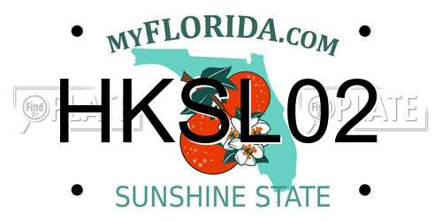 HKSL02 Florida License Plate