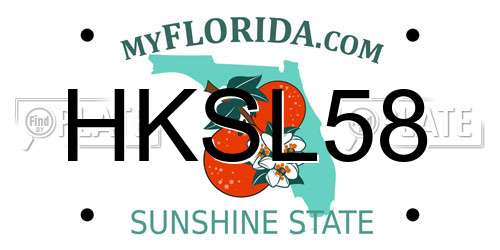 HKSL58 Florida License Plate
