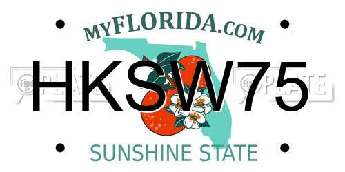 HKSW75 Florida License Plate