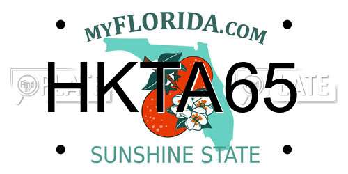 HKTA65 Florida License Plate