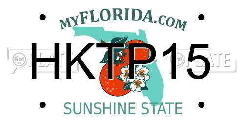 HKTP15 Florida License Plate