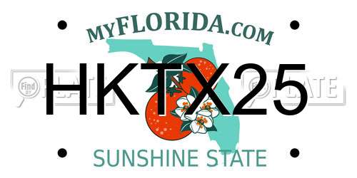 HKTX25 Florida License Plate